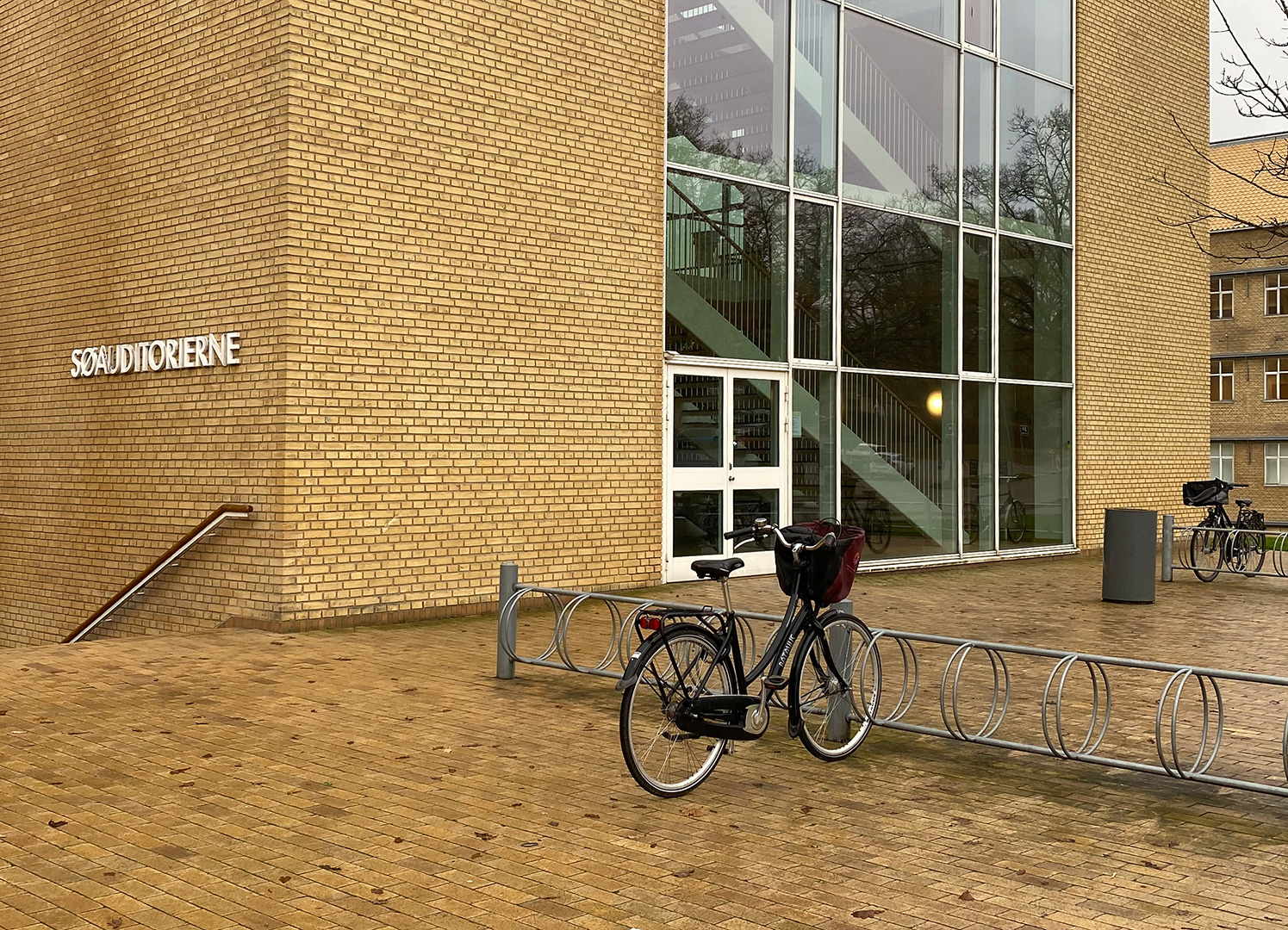 Dubbelsidig cykelställ vid Aarhus Universitet